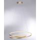 Paul Neuhaus 2474-12 - Dimbare LED Hanglamp aan een koord ROMAN LED/40W/230V goud
