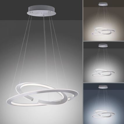 Paul Neuhaus 2491-55 - LED dimbare hanglamp aan kabel ALESSA 2xLED/26W/230V + afstandsbediening