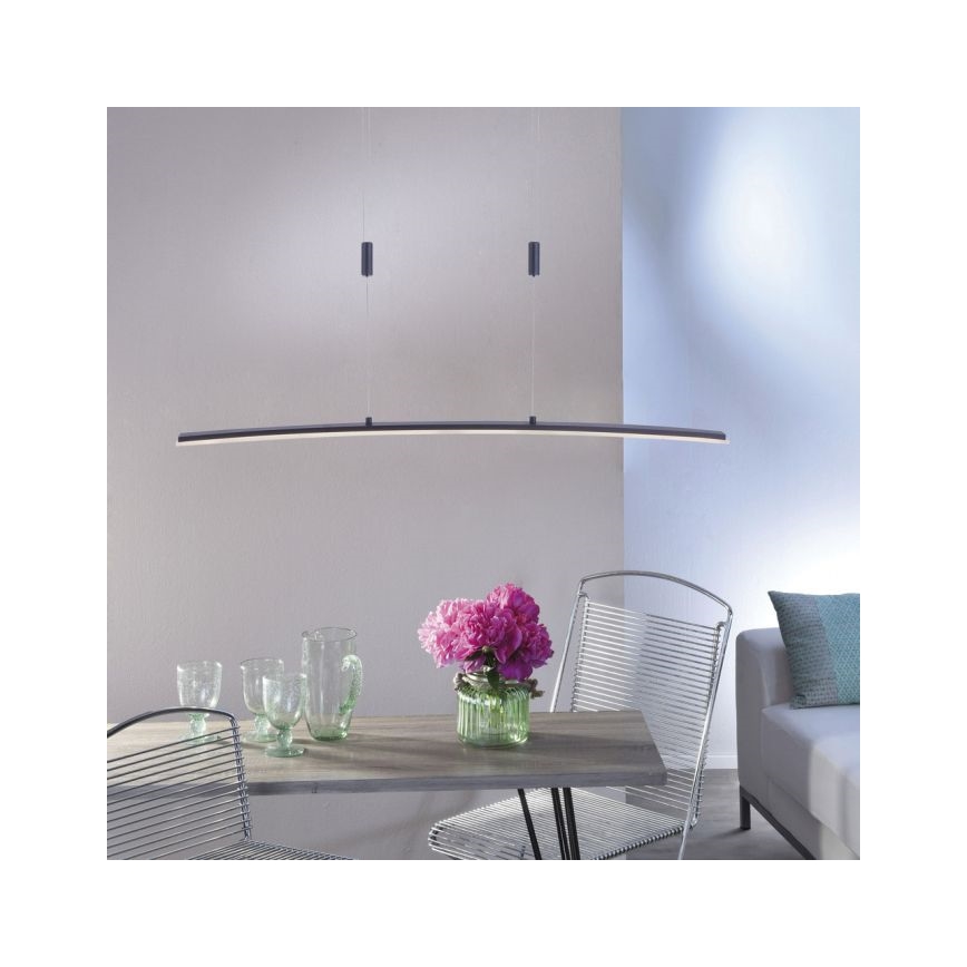 Paul Neuhaus 2530-13 - Dimbare LED  Hanglamp aan een koord JANINA LED/27W/230V