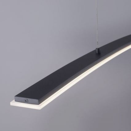 Paul Neuhaus 2530-13 - Dimbare LED  Hanglamp aan een koord JANINA LED/27W/230V