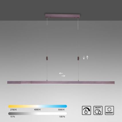 Paul Neuhaus 2568-24 - Dimbare LED hanglamp aan een koord ADRIANA LED/14W/230V 2700-5000K