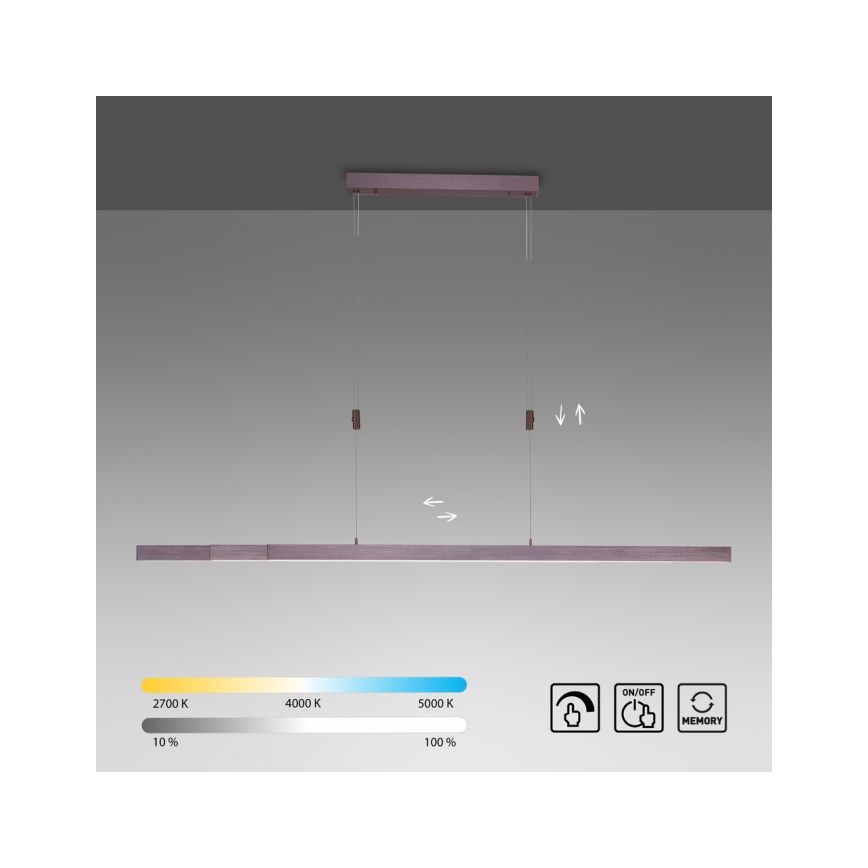 Paul Neuhaus 2568-24 - Dimbare LED hanglamp aan een koord ADRIANA LED/14W/230V 2700-5000K