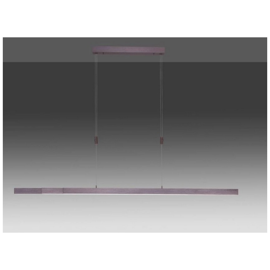 Paul Neuhaus 2568-24 - Dimbare LED hanglamp aan een koord ADRIANA LED/14W/230V 2700-5000K