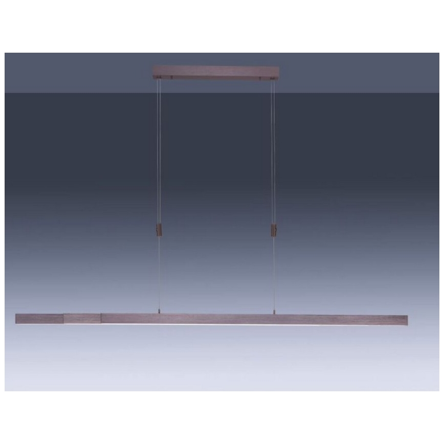 Paul Neuhaus 2568-24 - Dimbare LED hanglamp aan een koord ADRIANA LED/14W/230V 2700-5000K