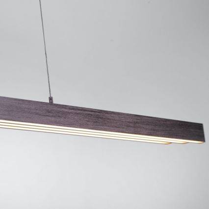 Paul Neuhaus 2568-24 - Dimbare LED hanglamp aan een koord ADRIANA LED/14W/230V 2700-5000K