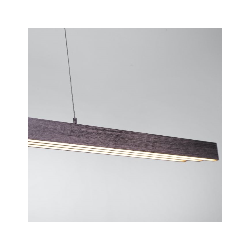 Paul Neuhaus 2568-24 - Dimbare LED hanglamp aan een koord ADRIANA LED/14W/230V 2700-5000K