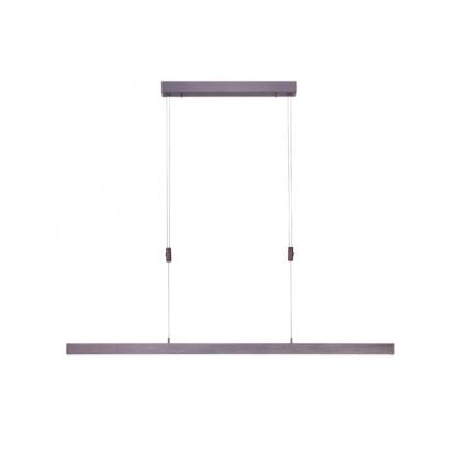 Paul Neuhaus 2568-24 - Dimbare LED hanglamp aan een koord ADRIANA LED/14W/230V 2700-5000K