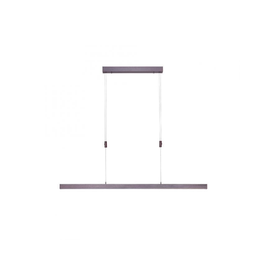 Paul Neuhaus 2568-24 - Dimbare LED hanglamp aan een koord ADRIANA LED/14W/230V 2700-5000K
