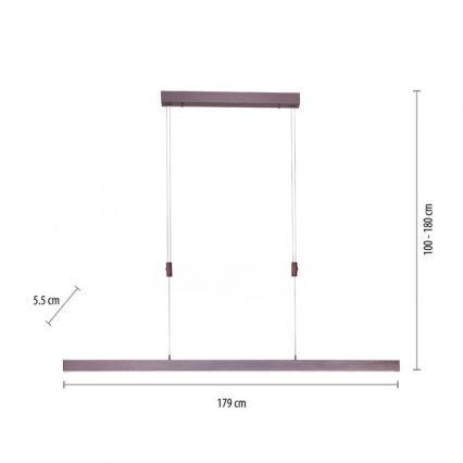 Paul Neuhaus 2568-24 - Dimbare LED hanglamp aan een koord ADRIANA LED/14W/230V 2700-5000K