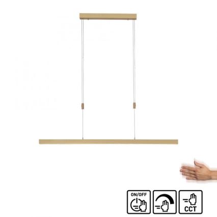 Paul Neuhaus 2568-60 - Dimbare LED hanglamp aan een koord ADRIANA LED/14W/230V  2700-5000K messing