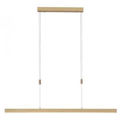 Paul Neuhaus 2568-60 - Dimbare LED hanglamp aan een koord ADRIANA LED/14W/230V  2700-5000K messing