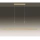 Paul Neuhaus 2568-60 - Dimbare LED hanglamp aan een koord ADRIANA LED/14W/230V  2700-5000K messing