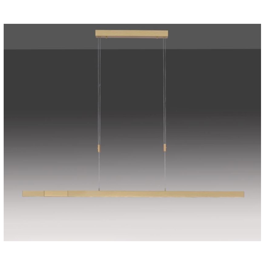 Paul Neuhaus 2568-60 - Dimbare LED hanglamp aan een koord ADRIANA LED/14W/230V  2700-5000K messing