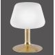 Paul Neuhaus 4078-60 - Dimbare LED Tafel Lamp TILL 1xG9/3W/230V messing