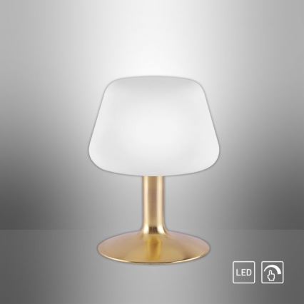 Paul Neuhaus 4078-60 - Dimbaar LED touch tafellampje TILL 1xG9/3W/230V messing