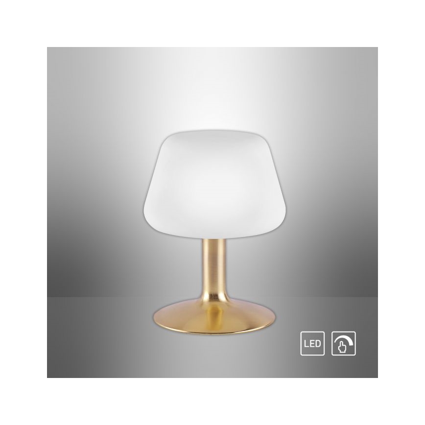 Paul Neuhaus 4078-60 - Dimbaar LED touch tafellampje TILL 1xG9/3W/230V messing