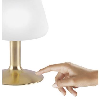 Paul Neuhaus 4078-60 - Dimbaar LED touch tafellampje TILL 1xG9/3W/230V messing