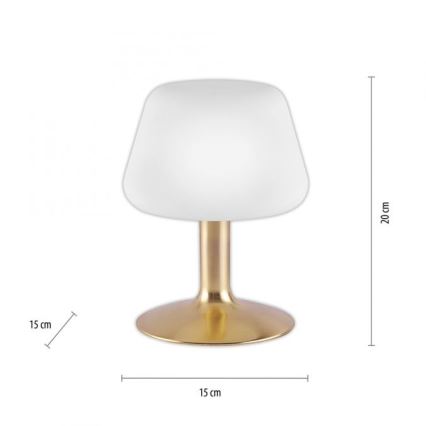 Paul Neuhaus 4078-60 - Dimbaar LED touch tafellampje TILL 1xG9/3W/230V messing