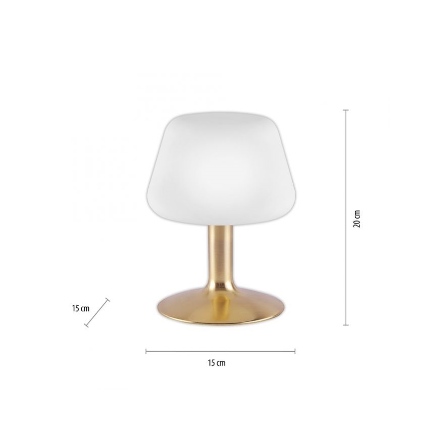 Paul Neuhaus 4078-60 - Dimbaar LED touch tafellampje TILL 1xG9/3W/230V messing