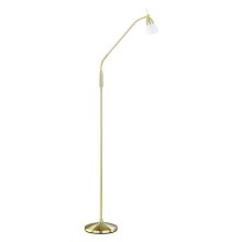 Paul Neuhaus 430-60 - Dimbare en Staande Lamp met Touch Aansturing PINO 1xG9/28W/230V goud