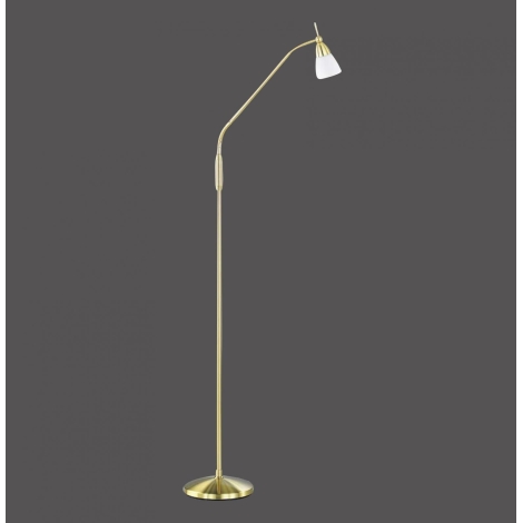gips correct Dhr Paul Neuhaus 430-60 - Dimbare en Staande Lamp PINO 1xG9/28W/230V goud |  Lampenmanie