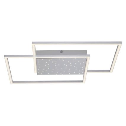 Paul Neuhaus 6024-55 - Dimbare LED Hanglamp voor Oppervlak Montage YUKI LED/49W/230V + afstandsbediening