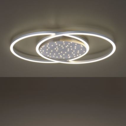 Paul Neuhaus 6025-55 - LED dimbare plafondlamp YUKI LED/48W/230V + afstandsbediening