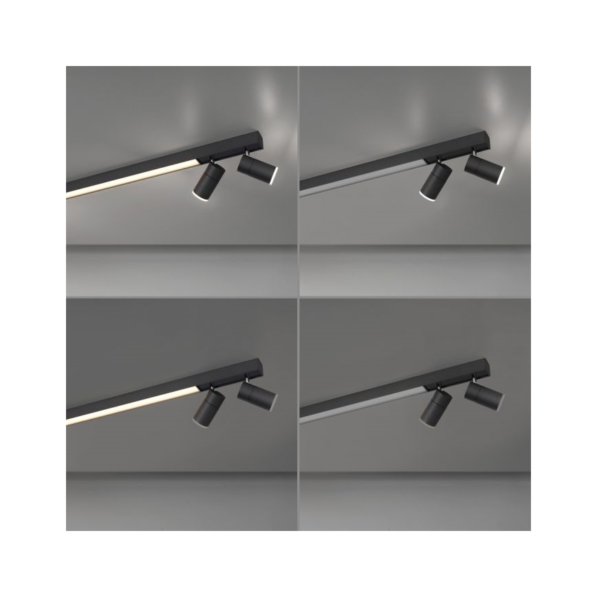 Paul Neuhaus 6121-13 - Dimbare LED Spot PURE 4xLED/4W/230V + LED/9W 2700-5000K + afstandsbediening