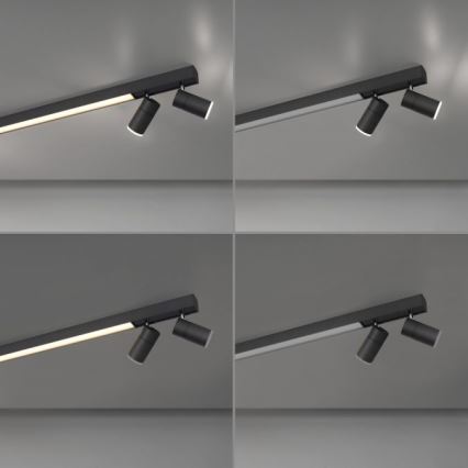 Paul Neuhaus 6121-13 - LED dimbare inbouwspot PURE 4xLED/4W/230V + LED/9W 2700-5000K + afstandsbediening