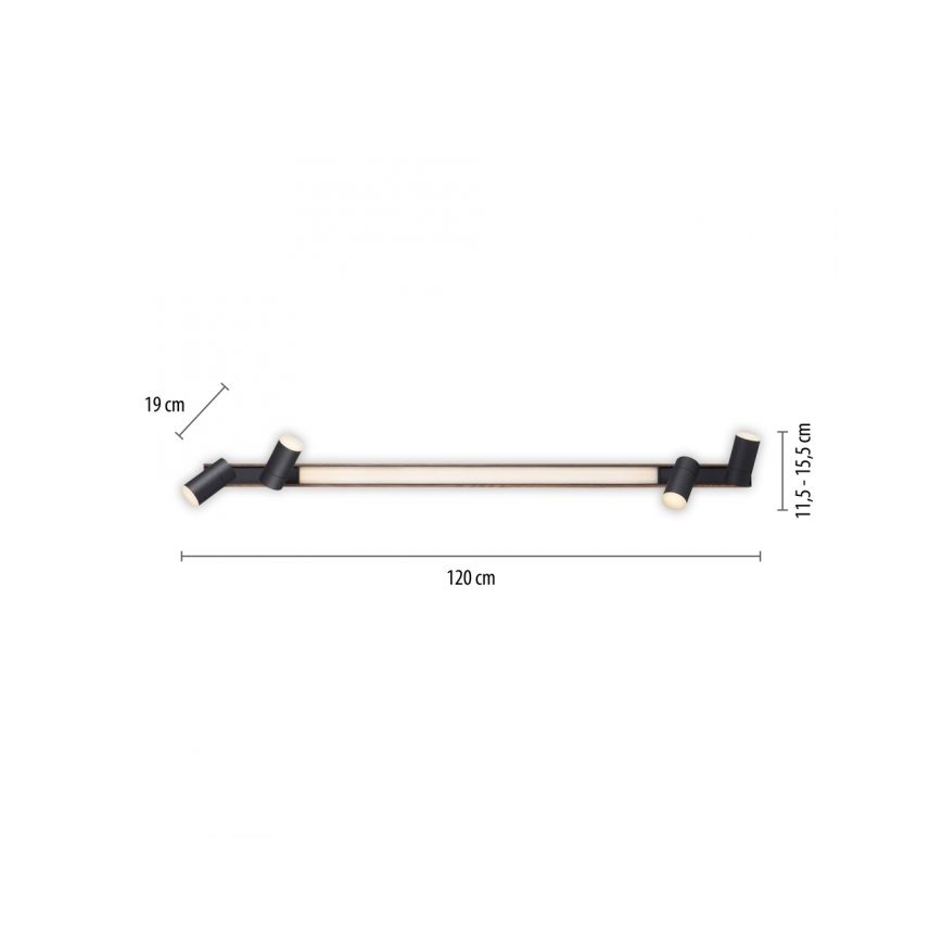 Paul Neuhaus 6121-79 - Dimbare LED Spot PURE 4xLED/4W/230V + LED/9W 2700-5000K + afstandsbediening
