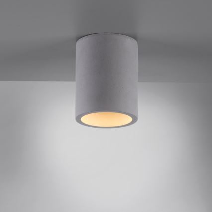 Paul Neuhaus 6160-22 - Spot ETON 1xGU10/10W/230V beton