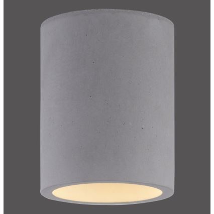 Paul Neuhaus 6160-22 - Spot ETON 1xGU10/10W/230V beton