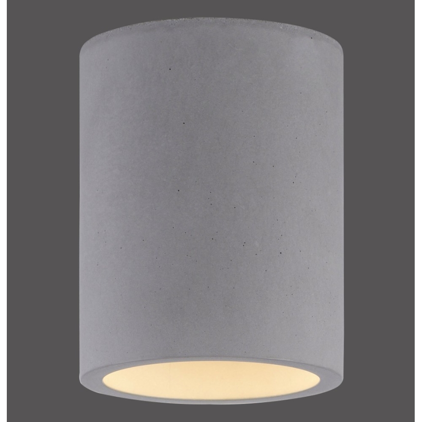 Paul Neuhaus 6160-22 - Spot ETON 1xGU10/10W/230V beton