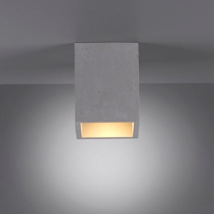 Paul Neuhaus 6161-22 - Spot ETON 1xGU10/10W/230V beton