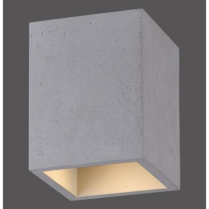 Paul Neuhaus 6161-22 - Spot ETON 1xGU10/10W/230V beton