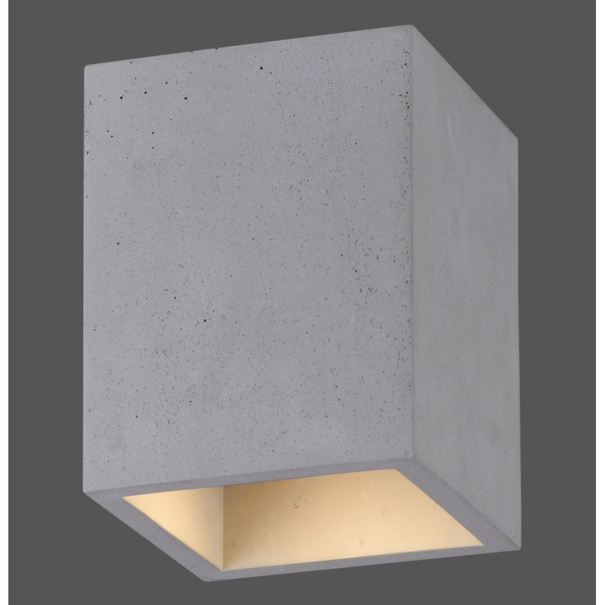 Paul Neuhaus 6161-22 - Spot ETON 1xGU10/10W/230V beton