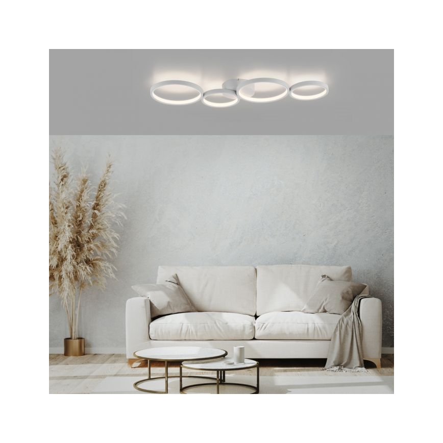 Paul Neuhaus 6183-16 - Dimbare LED plafondlamp KIRINGE LED/26W/230V