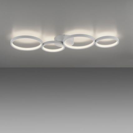 Paul Neuhaus 6183-16 - Dimbare LED plafondlamp KIRINGE LED/26W/230V