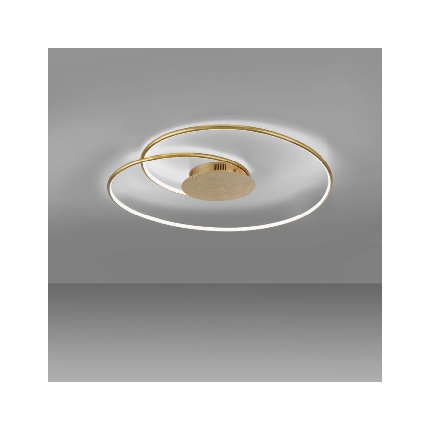 Paul Neuhaus 6189-12 - Dimbare LED plafondlamp NASTRO LED/26W/230V