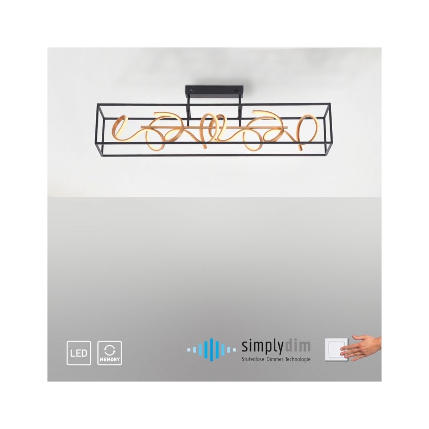 Paul Neuhaus 6473-18 - LED Hanglamp aan koord dimbaar SELINA 4xLED/10,2W/230V