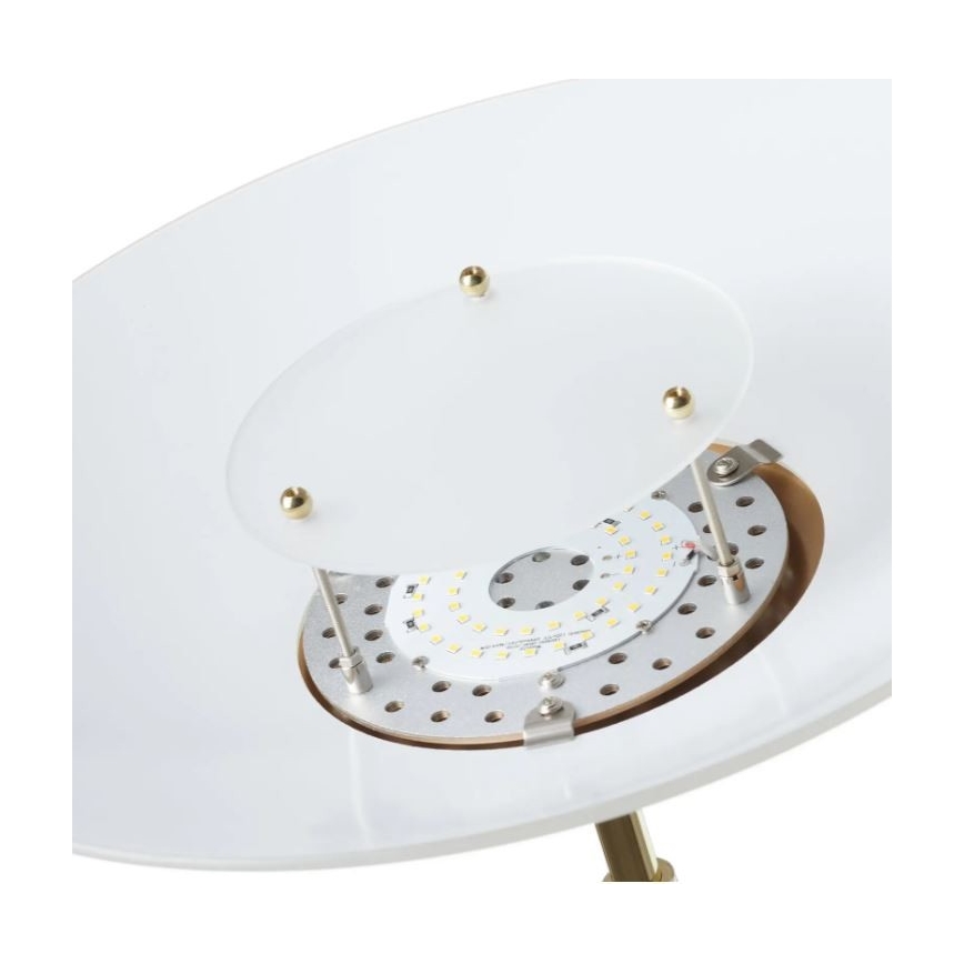 Paul Neuhaus 655-60 - LED dimbare vloerlamp ALFRED LED/28W/230V+LED/4W/230V messing
