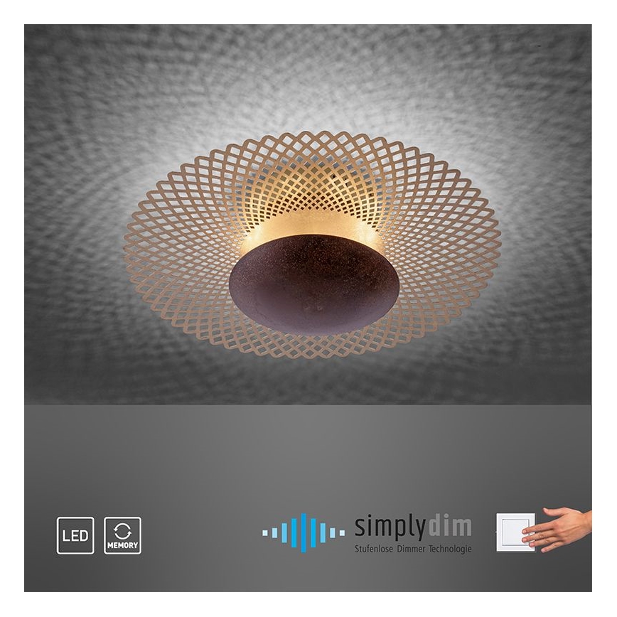 Paul Neuhaus 6551-48 - Dimbare LED Plafond Lamp NEVIS LED/18W/230V