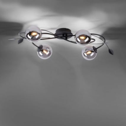 Paul Neuhaus 6724-18 - LED Hanglamp voor Oppervlak Montage WIDOW 4xG9/3W/230V