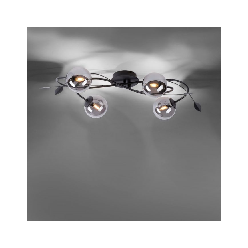 Paul Neuhaus 6724-18 - LED Hanglamp voor Oppervlak Montage WIDOW 4xG9/3W/230V