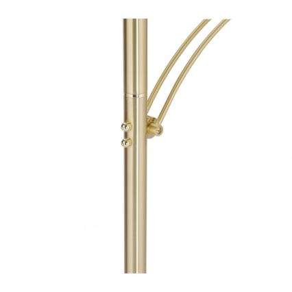 Paul Neuhaus 673-60 - LED dimbare vloerlamp ARTUR 2xLED/21W/230V+LED/6W goud