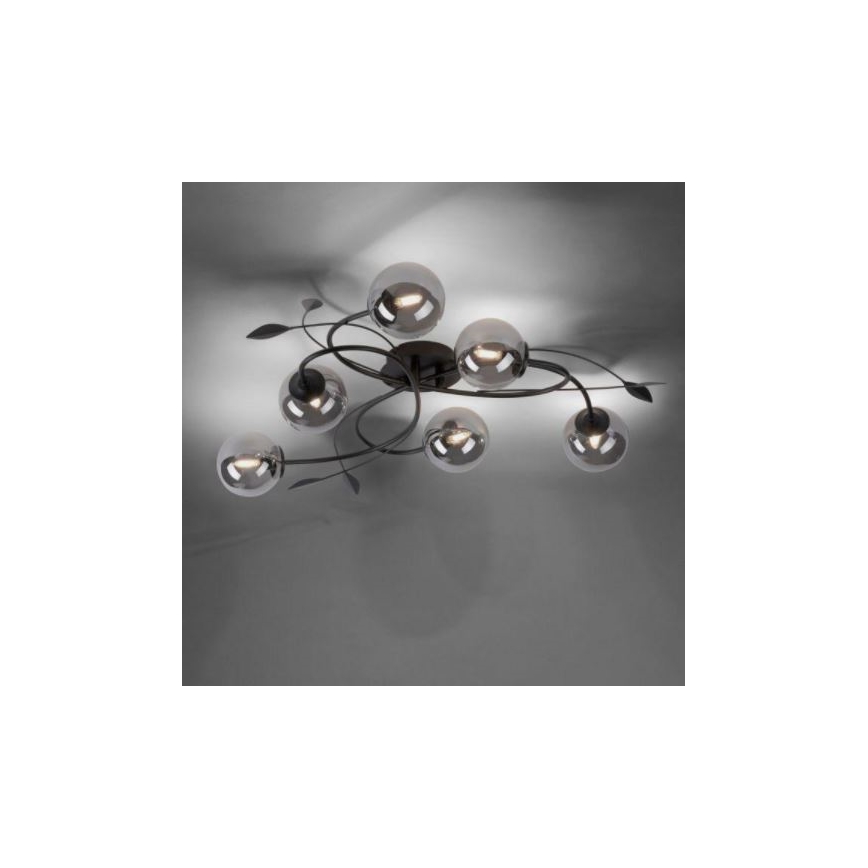 Paul Neuhaus 6737-18 - LED Hanglamp voor Oppervlak Montage WIDOW 6xG9/3W/230V