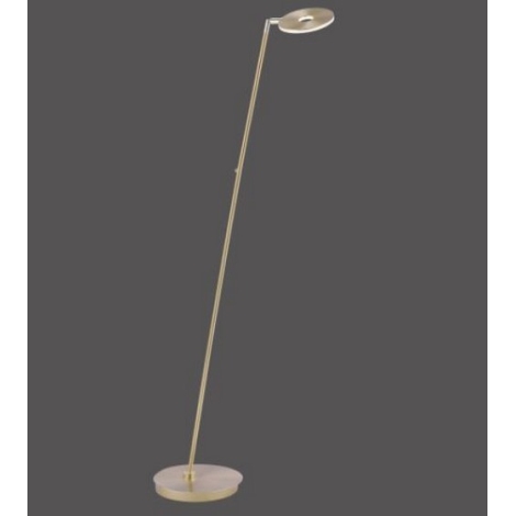 Pracht Ga lekker liggen Prooi Paul Neuhaus 676-60 - Staande LED Lamp, Dimbaar MARTIN LED/13,5W/230V  messing | Lampenmanie