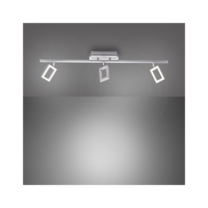Paul Neuhaus 6959-55 - LED Spot INIGO 3xLED/4,2W/230V