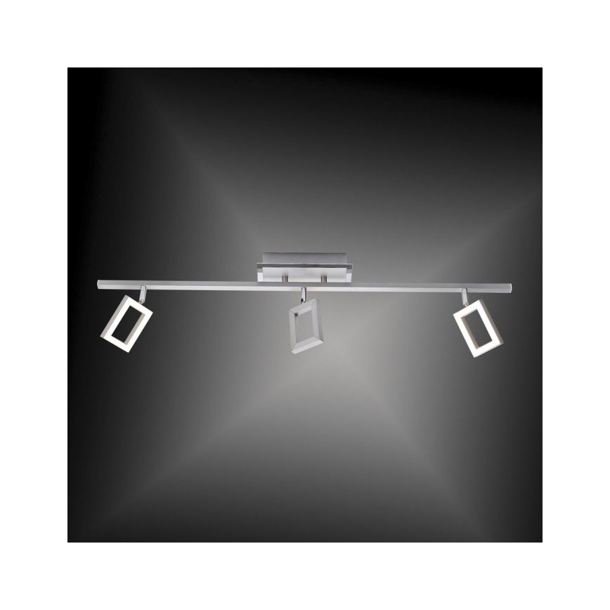 Paul Neuhaus 6959-55 - LED Spot INIGO 3xLED/4,2W/230V