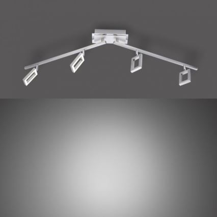 Paul Neuhaus 6960-55 - Dimbare LED Spot INIGO 4xLED/4,2W/230V